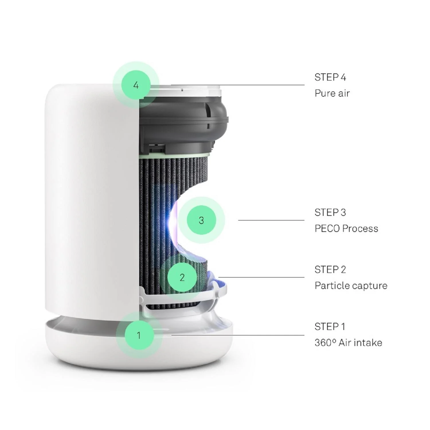 Molekule Air Mini+